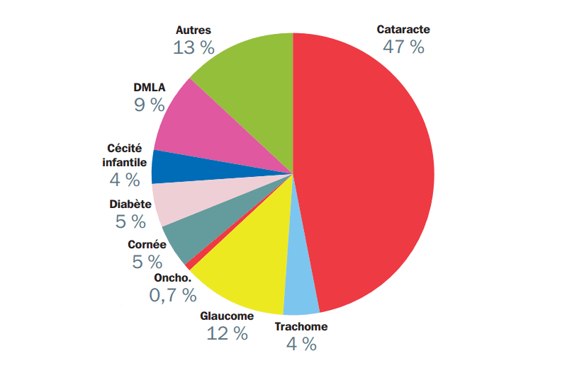 Figure 1 : Causes de cécité dans le monde en 2002